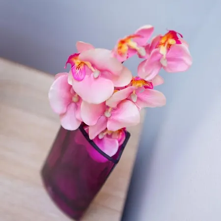 Apartamento Delight Mostar